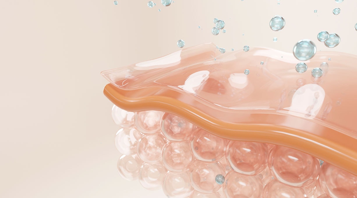 Wirkung von Kollagenpeptiden auf die Haut