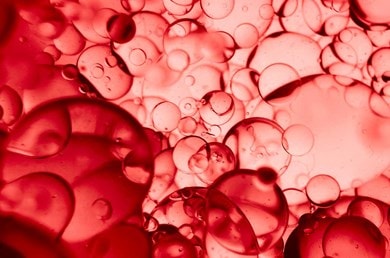 Rote, blasenartige Struktur