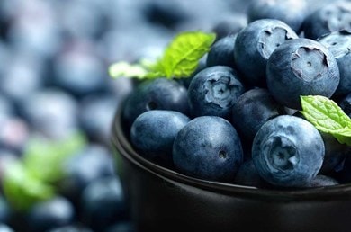 Antioxidantien