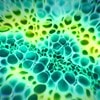 Mikrobiom
